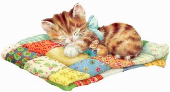 best down lightweight comforters reviews