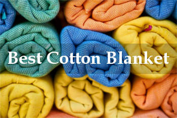 best cotton blanket reviews