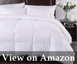 best white down comforter reviews